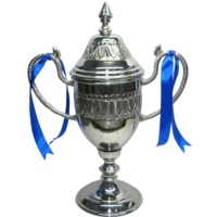 Trophées et Plaques de Récompense en Aluminium Gravées au Laser, Artisanat Indien de Luxe 2025, Durables, Modernes, Classiques, Promotionnels