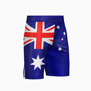 Vente en gros d'usine Taille Plus Extensible Combat MMA Kick Boxing Muay Thai Arts Martiaux Kick Boxing Shorts Sublimé Mma Short - Product Image 2