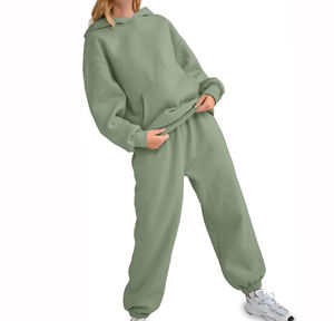 Ensemble de survêtements à capuche pour femmes Logo personnalisé Training & Jogging Wear Hooded Jogger 2 Piece Set Jogging Plain Track Suit streetwear - Product Image 1