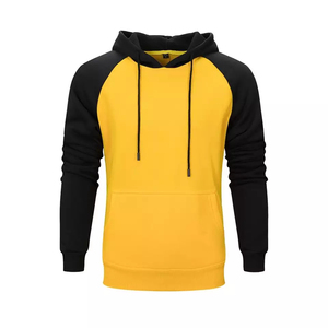 Top qualité Street Wear 100% cotto épais polaire personnalisé brodé hommes sweats à capuche manches raglan sweats à capuche décontractés unisexe - Product Image 1