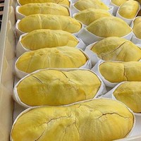 Vers gesneden biologische durian uit Thailand, authentieke Monthong kwaliteit, kant-en-klaar, zoet, romig, verpakt, 0,5 kg, 2-3 weken houdbaarheid