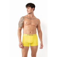 Boxers mi-hauts pour hommes de qualité supérieure, haute élasticité, maintien tout au long de la journée, confort respirant, 100 % coton, conçus pour toutes les morphologies.