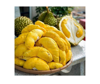 Durian Fresco de Buena Calidad de Vietnam, Aroma Intenso, Pulpa Espesa, Perfecto para Revendedores de Frutas