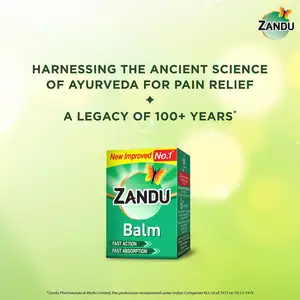 Zandu Balm 25 gm-関節痛用軟膏アーユルヴェーダ鎮痛バーム頭痛緩和体痛緩和