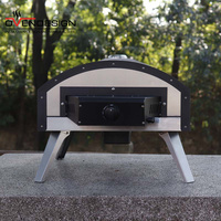 Four à pizza au gaz portable professionnel Ovendesign, petit, pour l'extérieur, sans fumée, pour pizza, saumon, steak, ailes de poulet, pour usage domestique
