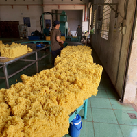 Caoutchouc sec en caoutchouc naturel SVR 3L pour l'application de semelle de chaussures caoutchouc d'exportation standard vietnamien