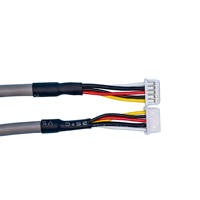 2,54mm DuPont Elektronischer Kabelbaum 16-polig PVC-Kabelkonfektion Kupferkern 24V Nennspannung Bildschirm USB 300mm IP20