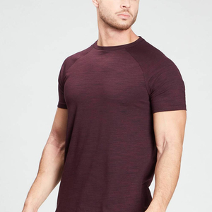 T-shirt de gym personnalisé pour hommes haute qualité en coton polyester séchage rapide respirant grande taille vêtements de fitness offre de gros - Product Image 2