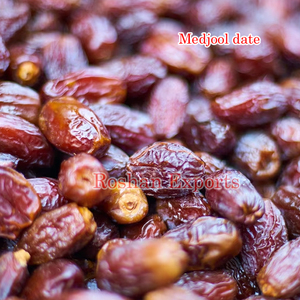 Palmera Datilera cultivo de tejidos - Product Image 3