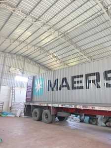 ผลิตภัณฑ์ทางการเกษตรถั่วไตขาวพรีเมี่ยม - Product Image 3