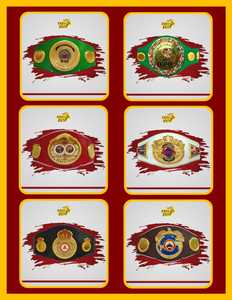 Ceintures de champion du monde personnalisées ! NOUVELLES CEINTURES DE BOXE WINNG HEAVY - Product Image 6