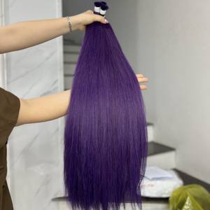 Extensiones de Cabello Humano Vietnamita de Doble Trama, Largas y Lisas, Color Morado, Cutículas Alineadas - Product Image 6