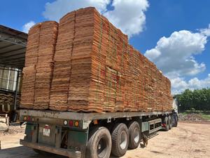 Pas cher prix rotatif coupe acacia/eucalyptus/caoutchouc bois noyau placage-vente en gros Vietnam ingénierie placage bas impôts - Product Image 6