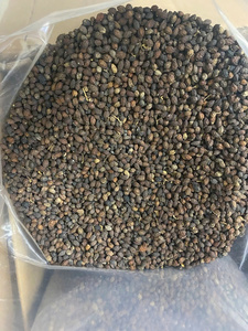 100% เมล็ดมะละกอตากแห้งตามธรรมชาติจากฟาร์มที่มีชื่อเสียง-อุดมไปด้วยสารอาหารรสชาติที่โดดเด่น-บัวสีน้ำเงินเวียดนาม - Product Image 4