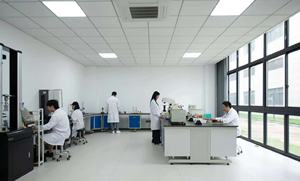 Suture absorbable en catgut chromique pour la chirurgie vétérinaire et des animaux de compagnie avec absorption uniforme - Product Image 6