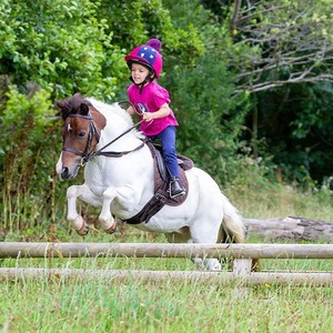 Silla de Montar Inglesa Plegable de Cuero Vacuno Genuino Más Vendida, Silla de Montar para Niños, Equipo Ecuestre de Alta Calidad Personalizable - Product Image 5