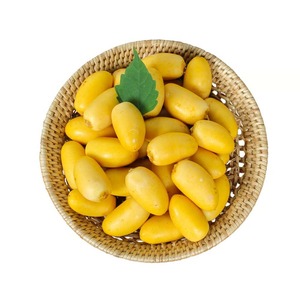 Fresh Harvest Barhi Dátiles llenos de energía natural Barhi Dátiles para bocadillos saludables y suministro a granel a bajo precio - Product Image 4