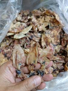 Calamar bebé crudo sin sal de primera elección que exporta a granel sin aditivos al por mayor sopa de calamar seco de calidad superior - Product Image 2