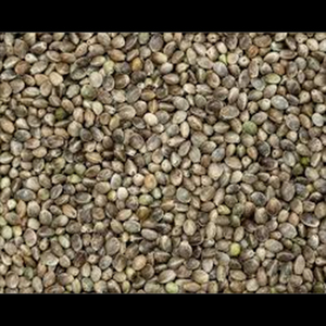 เมล็ดกัญชาธรรมชาติขายจำนวนมากเมล็ดดิบเพื่อสุขภาพคุณค่าทางโภชนาการสูงขายส่ง - Product Image 1