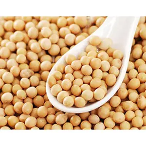 Wholesale Ukraine & Brazil Organic Non-Gmo Soyabean Yellow Soybean Soja Soya Beans