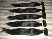Cheveux humains bruts non traités, cheveux vierges naturels en vrac, extensions de cheveux humains du temple du sud de l'Inde