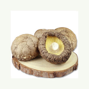Vente en gros emballage en vrac champignons shiitake séchés - Product Image 3