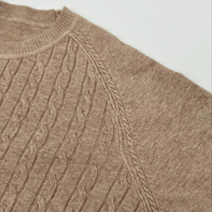 Hot Bán Chất Lượng Cao Ladies 'Casual Crew Cổ Dệt Kim Áo Len Ngắn Tay Áo Của Phụ Nữ Thời Trang Áo Thun Trong Hazelnut Cho Mùa Thu - Product Image 3