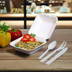 Boîte à lunch en bagasse avec logo personnalisé, emballage alimentaire jetable respectueux de l'environnement pour la marque et les commandes en gros - Product Image 1