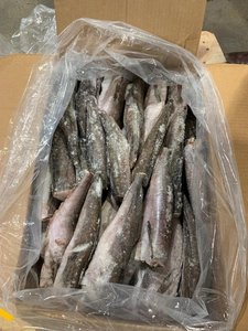 Pescado congelado al por mayor en todo el mundo, pescado maceral congelado fresco y aceite de pescado fresco - Product Image 6