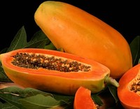 Papaja Crème Export Uit Vietnam Met Hoge Kwaliteit En Verse Papaja Concurrerende Prijs