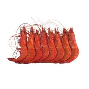 Wholesale Supplier Frozen shrimps For Sale In Reasonable Price Vannamei Shrimp PD Cooked IQF Frozen Cooked Vannamei Shrimp Price