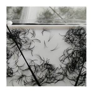 Extensions de cils synthétiques faites à la main, vente en gros, emballage en plateau pour la beauté, modèle facile Nhu Y Eyelash NY4D, volume complet 0.05-0.10mm - Product Image 5