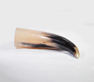 Authentic Handcrafted Natural Polished Buffalo Horn Blowing Horn With Distinctive <b>Black</b> And Honey Two Tone Coloration - Product Image 1