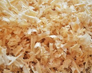 ซื้อเศษไม้สนดิบและแห้งสำหรับเครื่องนอนและอาหารสัตว์เพื่อความสบายและคุณค่าทางโภชนาการของสัตว์เลี้ยง - Product Image 3