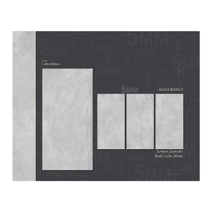 Baldosas de porcelana pulida esmaltada de alta calidad para sala de estar, estilos clásicos modernos, acabado mate brillante, paredes interiores - Product Image 4