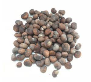 BAOBAB Matière Première Cosmétique Qualité Alimentaire Sauvage Récoltée Séchée par Pulvérisation - À Vendre +27739729209 - Product Image 3