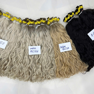 Extensions de cheveux en vrac de qualité salon premium, tendance 2026, cheveux humains vietnamiens, ondulés, couleur, cheveux en vrac sans trame, vente en gros - Product Image 1