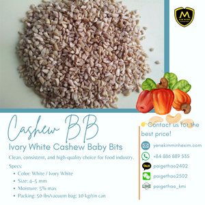 BITS DE BÉBÉ DE NOIX DE CAJOU DU Vietnam (BB) | Qualité d'exportation en gros - Product Image 2