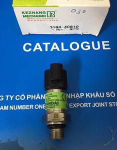 เซ็นเซอร์วัดแรงดันสูง 200 บาร์ รุ่น 31Q4-40810 KZ และ 31Q4-40820 VN สำหรับเครื่องยนต์รุ่นต่างๆ น้ำหนัก 0.2 กก. - Product Image 2