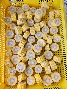 Maïs sucré en grains entiers surgelé, maïs surgelé IQF, prix de gros - Product Image 2