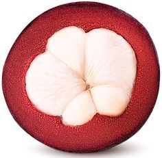 100% Dried Mangosteen From Fresh Mangosteen Organic Fruit Origin From Vietnam - Product Image 2