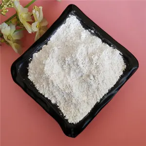 Recubrimiento en polvo de carbonato de calcio pesado de Vietnam CaCO3 gran oferta