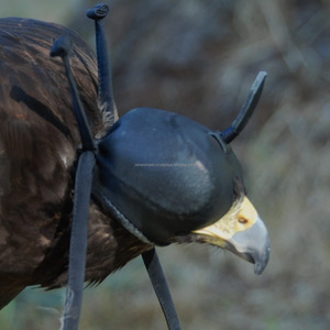 Capuche de fauconnerie fabriquée à la main Style arabe qatari en cuir véritable léger toutes saisons couleur/taille/Logo personnalisable pour la chasse - Product Image 4