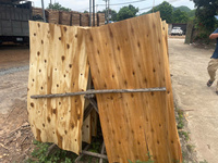 Acheter directement de l'usine du Vietnam bon prix placage d'acacia eucalyptus contreplaqué lucide pour les Philippines