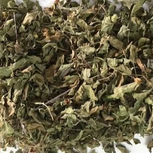 Feuilles Tulsi - Product Image 1