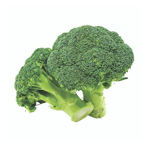 Brócoli Fresco al por Mayor 100% Natural, Origen EE. UU., Brócoli Fresco de Alta Calidad - Product Image 4