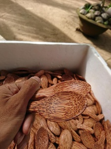 Cuillère en bois faite à la main, qualité supérieure, bois naturel du Vietnam, export en vrac, fournisseur fiable - Product Image 5