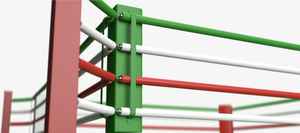 Housse de ring de boxe personnalisée de haute qualité avec impression de logo pour les arts martiaux et le MMA, marque PARANA INDUSTRIES, service OEM - Product Image 2