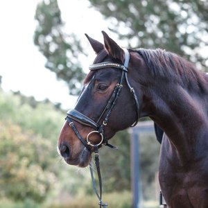 Amalfi Black Snaffle Brevet/Bronze sparkle piping HORSE Comfort BRIDLE Fancy Decorative Anatomical Horse Bridle smart - Product Image 6