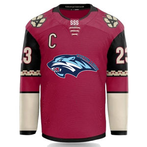 Conjunto de Jersey de hockey sobre hielo en blanco liso hecho a medida OEM diseño al por mayor para adultos desgaste de hockey sobre hielo - Product Image 4